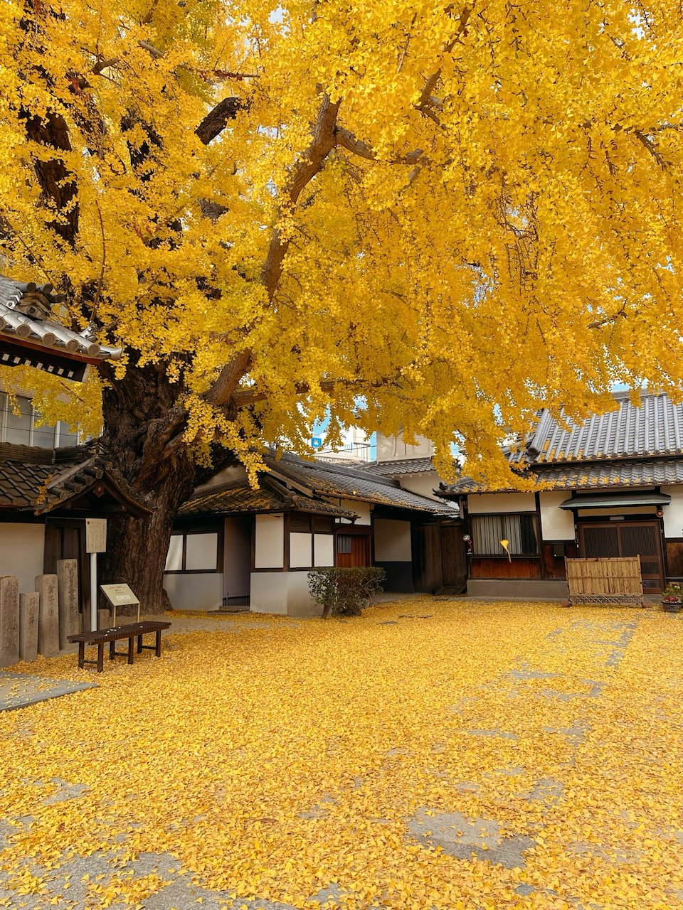 ⛩️ 이나게 신사 (稲毛神社) 이미지 7
